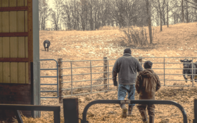 Surviving Challenging Times in the Ag Economy: 3 Steps Farmers Should Take