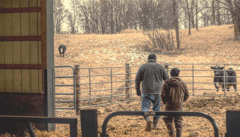 Surviving Challenging Times in the Ag Economy: 3 Steps Farmers Should Take