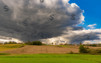 The Hidden Risk Threatening Farm Profitability